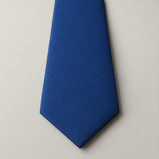 Blue Neck Ties for Men